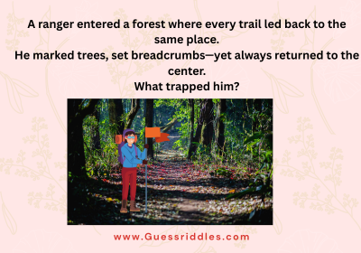 The Forest That Turned You Around