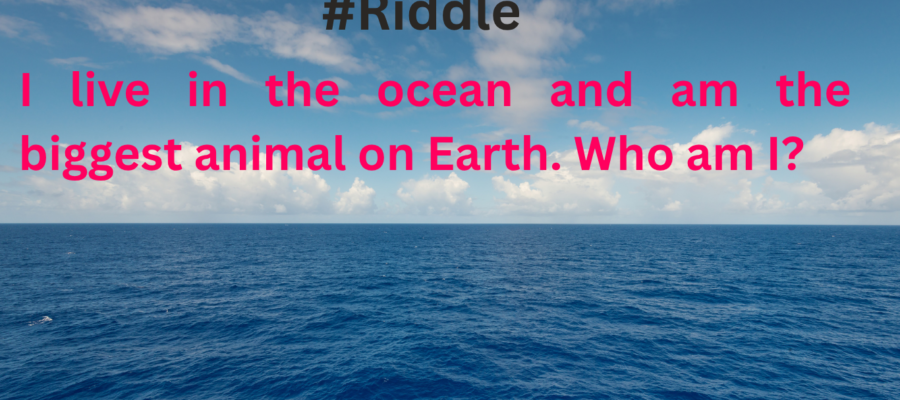 Easy Animal Riddles for Toddlers.